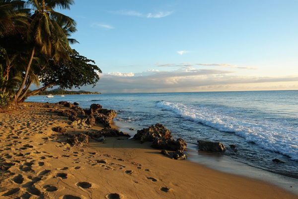 Beach in Puerto Rico with the ocean on the right and a sandy beach with palm trees on the left